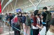 Tan Son Nhat airport sets new passenger record on sixth day of Tet holiday